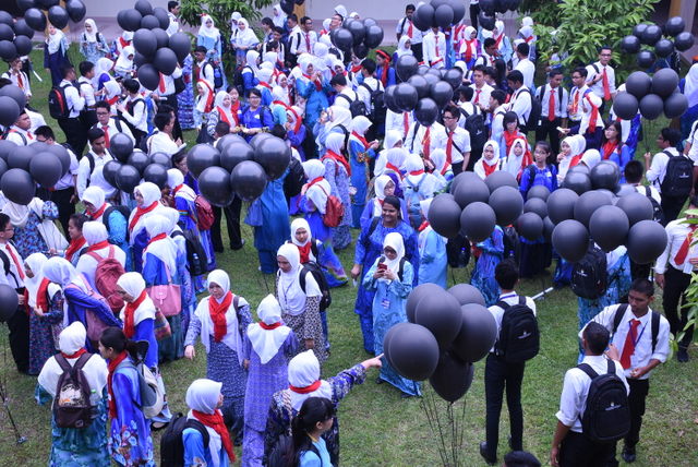 278 DSC 0353